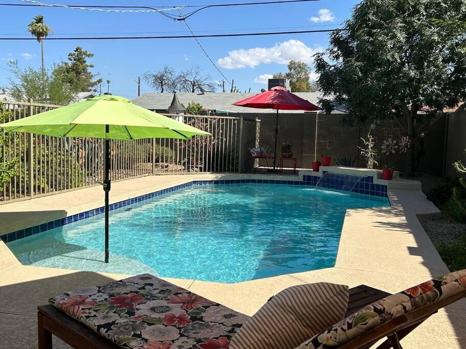Encanto Cactus Flower Casita Phoenix Exterior photo