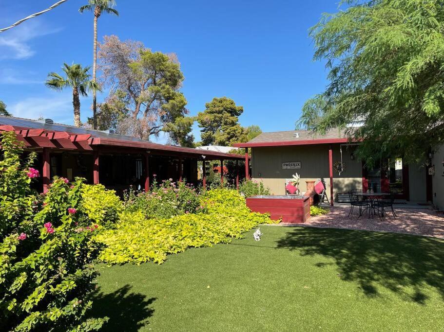Encanto Cactus Flower Casita Phoenix Exterior photo