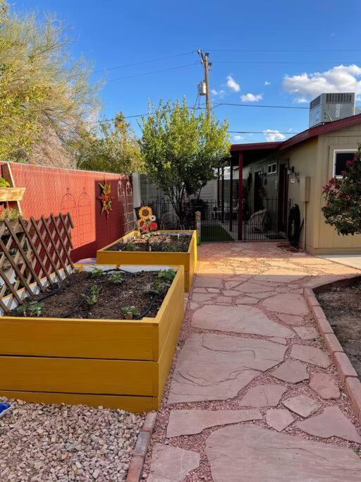 Encanto Cactus Flower Casita Phoenix Exterior photo